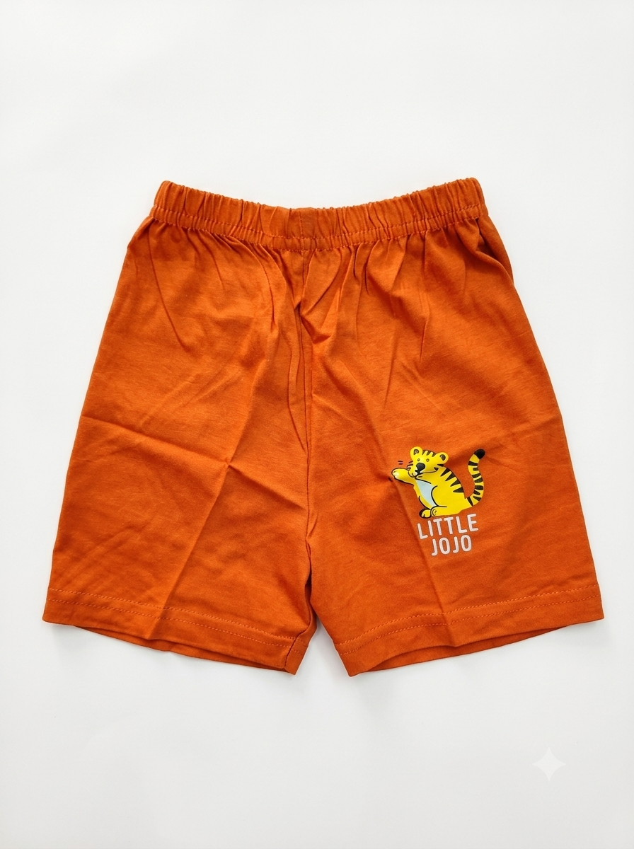 Boys Sky Blue & Rust Orange Graphic T-Shirt and Shorts Co-ord Set